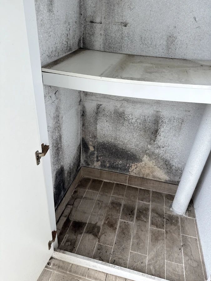 옷장 내부에 발생한 검은 곰팡이 실제 시공 전 사진